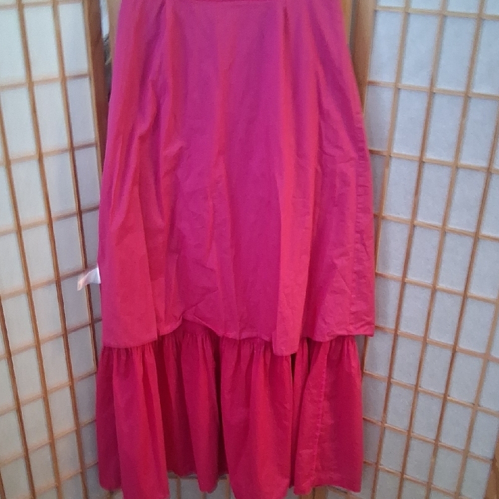 Express Pink Ruffled  Dress - Picture 12 of 16